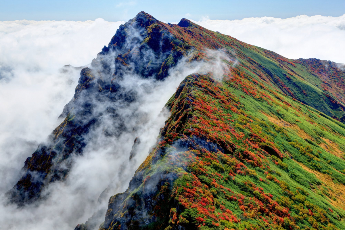 なぜ人は山に惹かれるのか？心身を解き放つ山のいいところと決定的な魅力