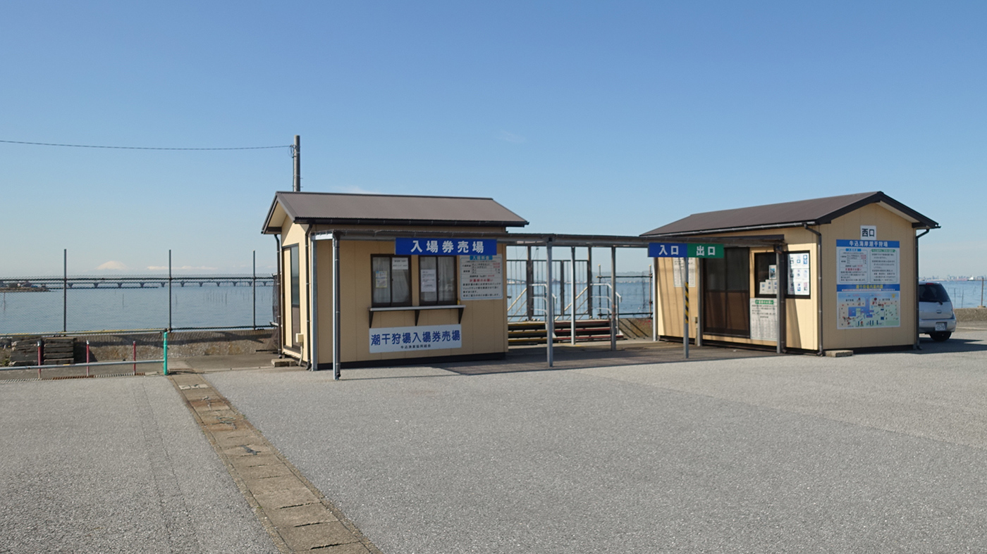 牛込海岸潮干狩り2026完全攻略！料金や潮見表と大漁の裏ワザ