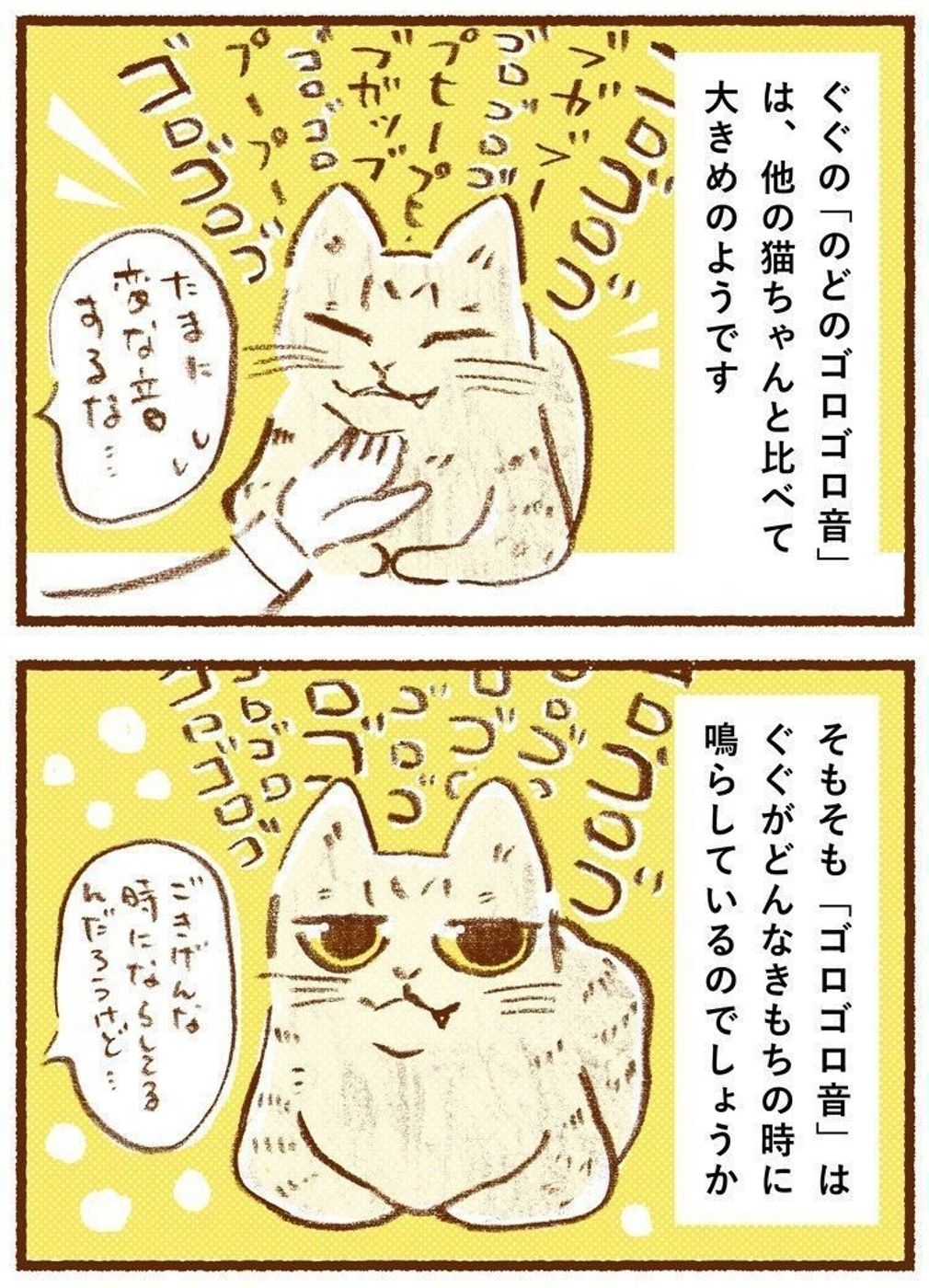 猫がゴロゴロ言う理由は甘えだけじゃない？危険なSosと驚きの治癒効果