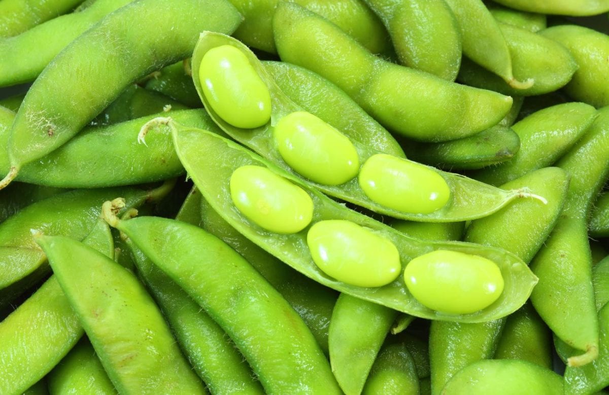 Are Edamame Healthy for You