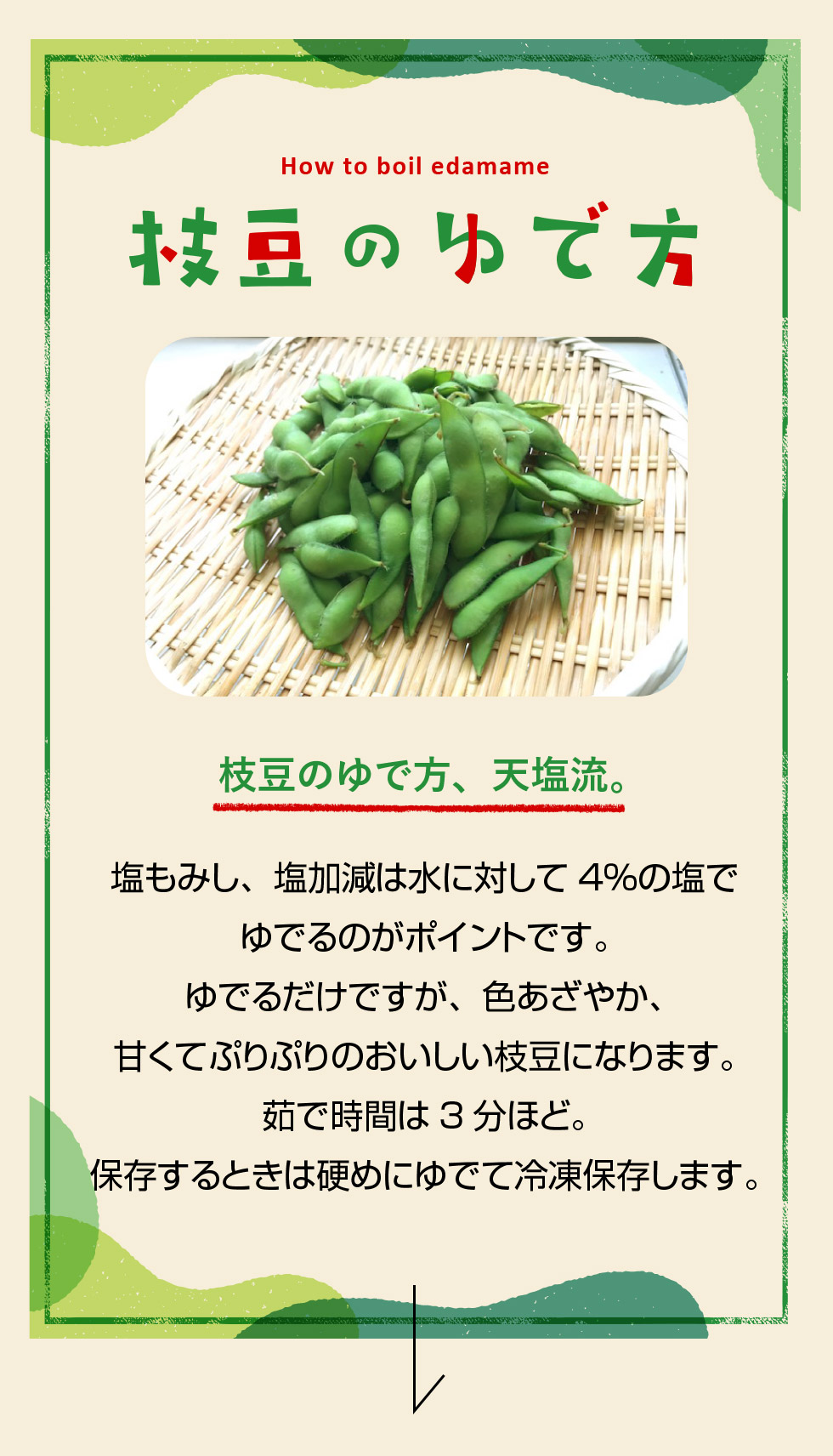 枝豆の茹で方は塩分4％と端切りで激変！農家直伝の甘み最大化の極意