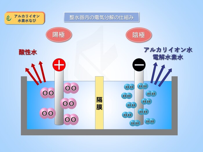 【必見】 水素 水 頭 おかしい 徹底解説＆真相まとめ #878