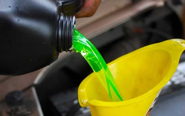 Does Antifreeze Have a Taste