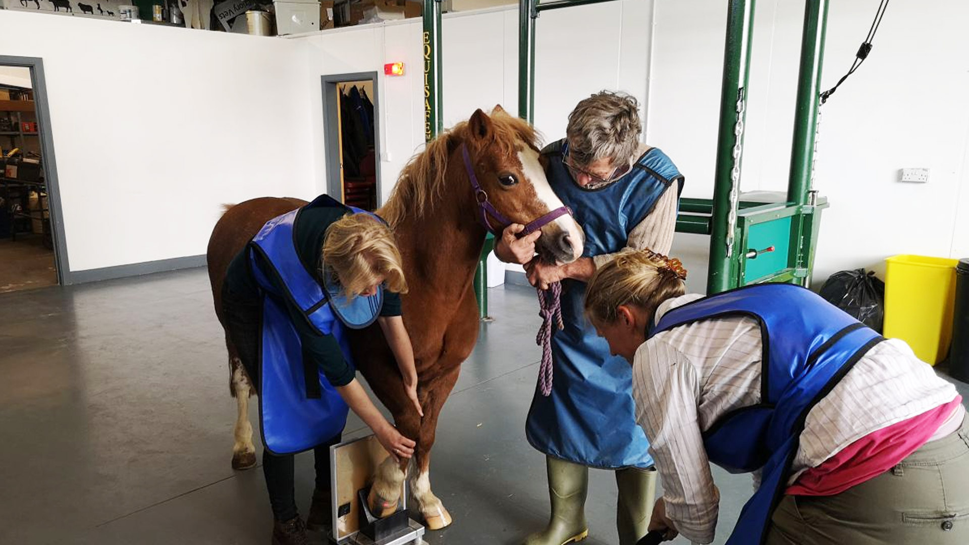 Priory Veterinary Surgeons and Priory Equine Veterinary Surgeons