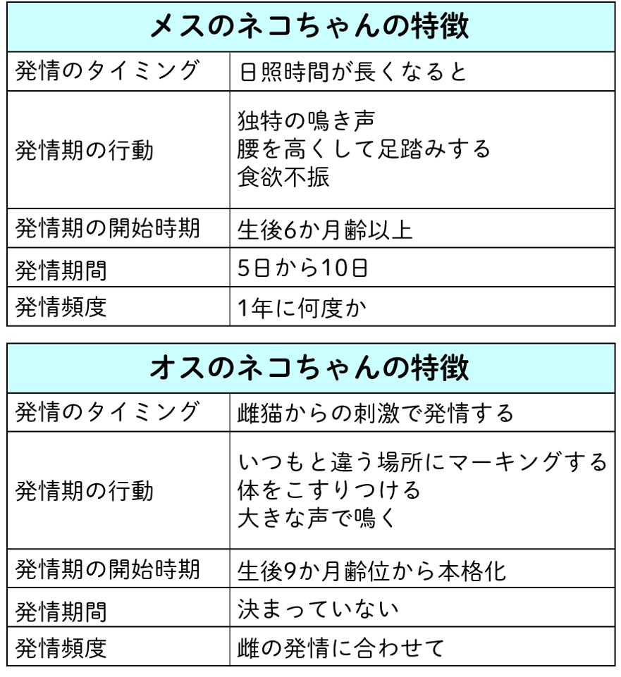 猫の盛り時期はいつ？突然の夜鳴きの理由とプロ直伝の対処法【徹底解説】