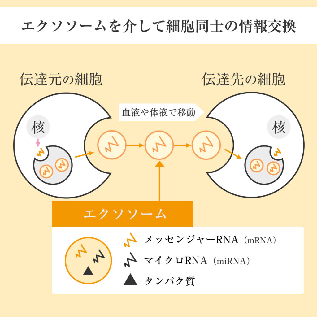 各務原で話題沸騰のエクストレッチ！肩こり解消と予約の裏ワザ