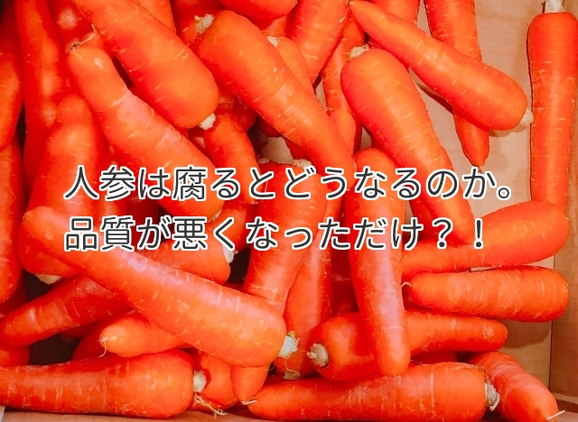 人参が腐るとどうなる？危険な見分け方と食中毒リスクを徹底解説