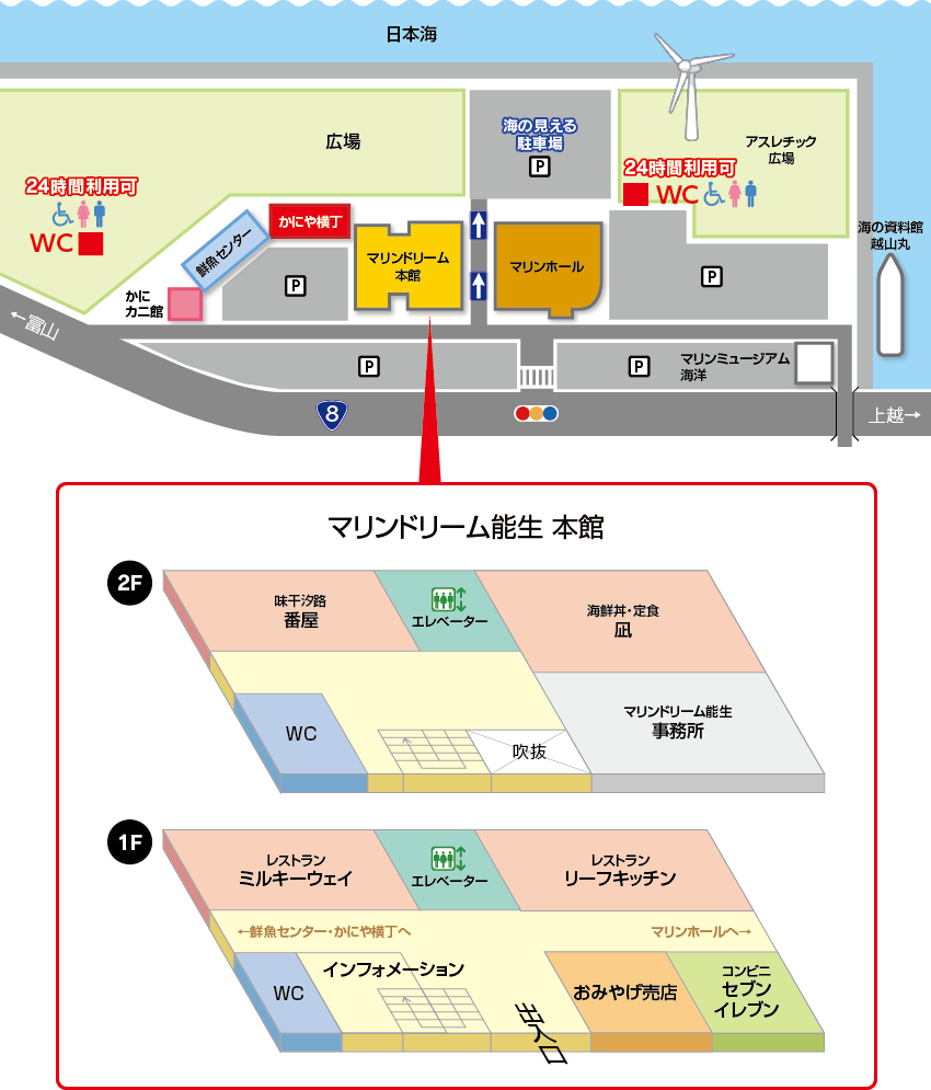 道の駅マリンドリーム能生の魅力解剖！カニ山盛りオマケの真相と買い方