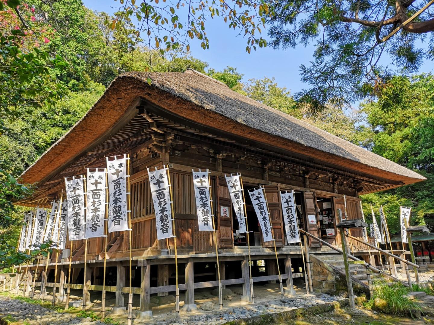 鎌倉最古・杉本寺の神秘！苔の階段と秘仏十一面観音の全貌と歩き方