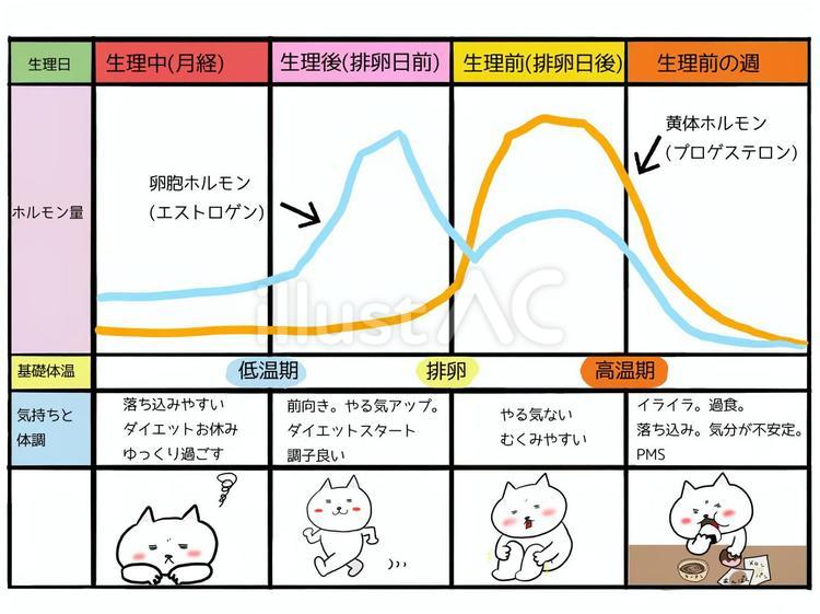 【経歴】 生理 後 体調 不良 ファン必見の最新情報 #743