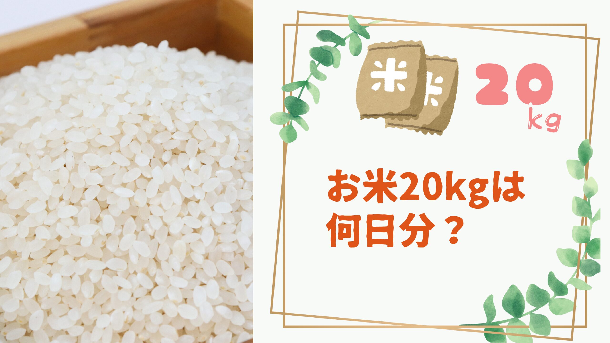 米10Kgは何合？茶碗133杯の消費目安と2026最新相場・保存術
