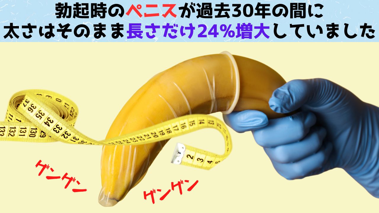 ペニスの平均の長さは実際何Cm？勃起時・通常時の最新データと真相