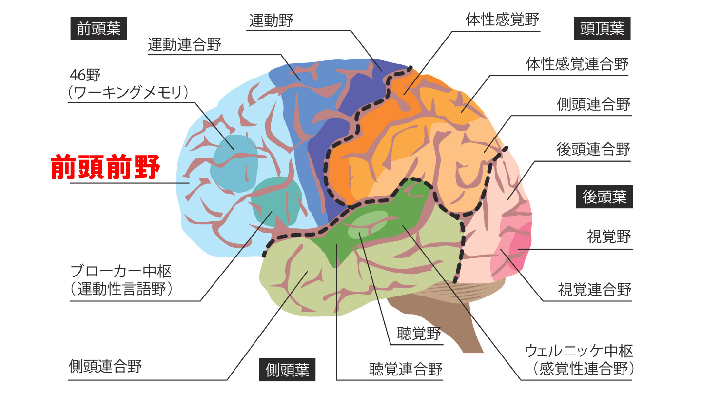 【話題】 脳 血管 攣縮 と は 2026年最新メディア #727