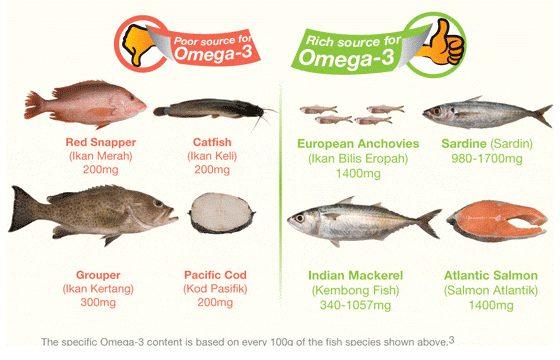 What Fish Lowers Cholesterol