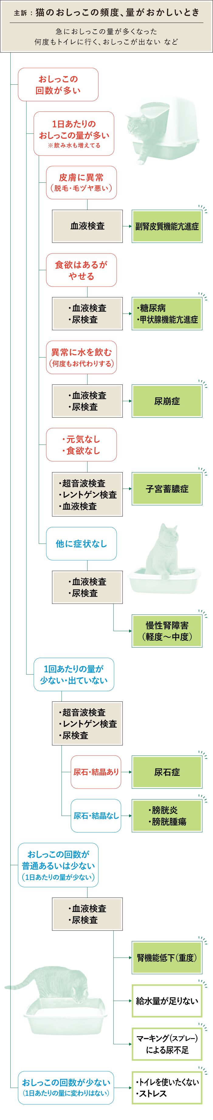 猫のトイレ回数は1日何回が正常？尿と便の危険サインと病気の見分け方