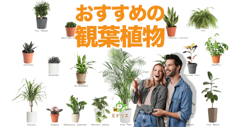 枯れる悩みをAiで解決！観葉植物アプリおすすめ人気ランキング