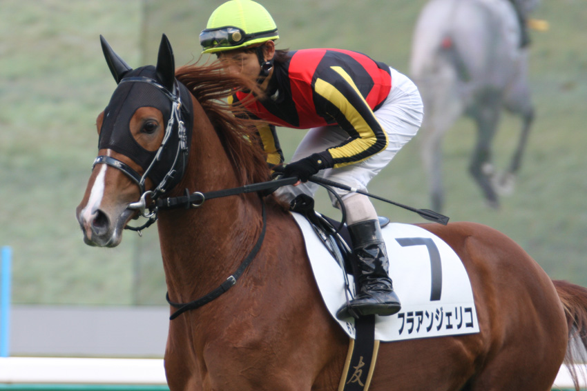 競馬の勝敗を分ける返し馬の真実！プロが見抜く激走と凡走の気配