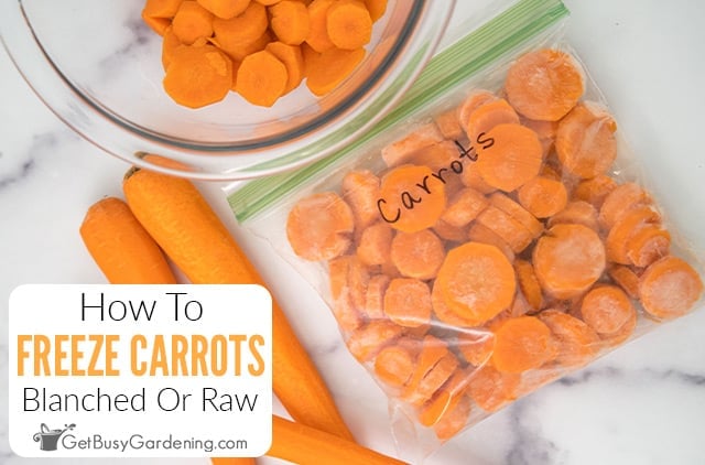 Can I Freeze Raw Carrots
