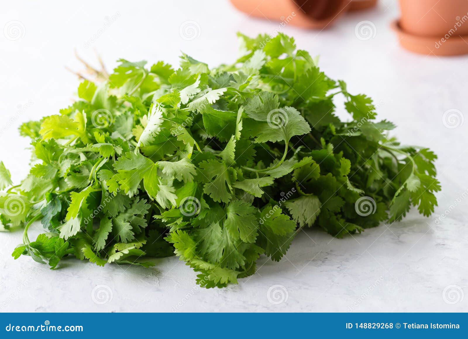 Can You Eat Cilantro Raw
