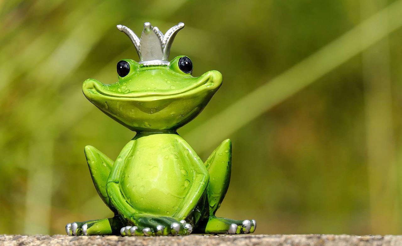 FrogとToadの違いとは？カエルの英語・鳴き声・卵まで完全解説