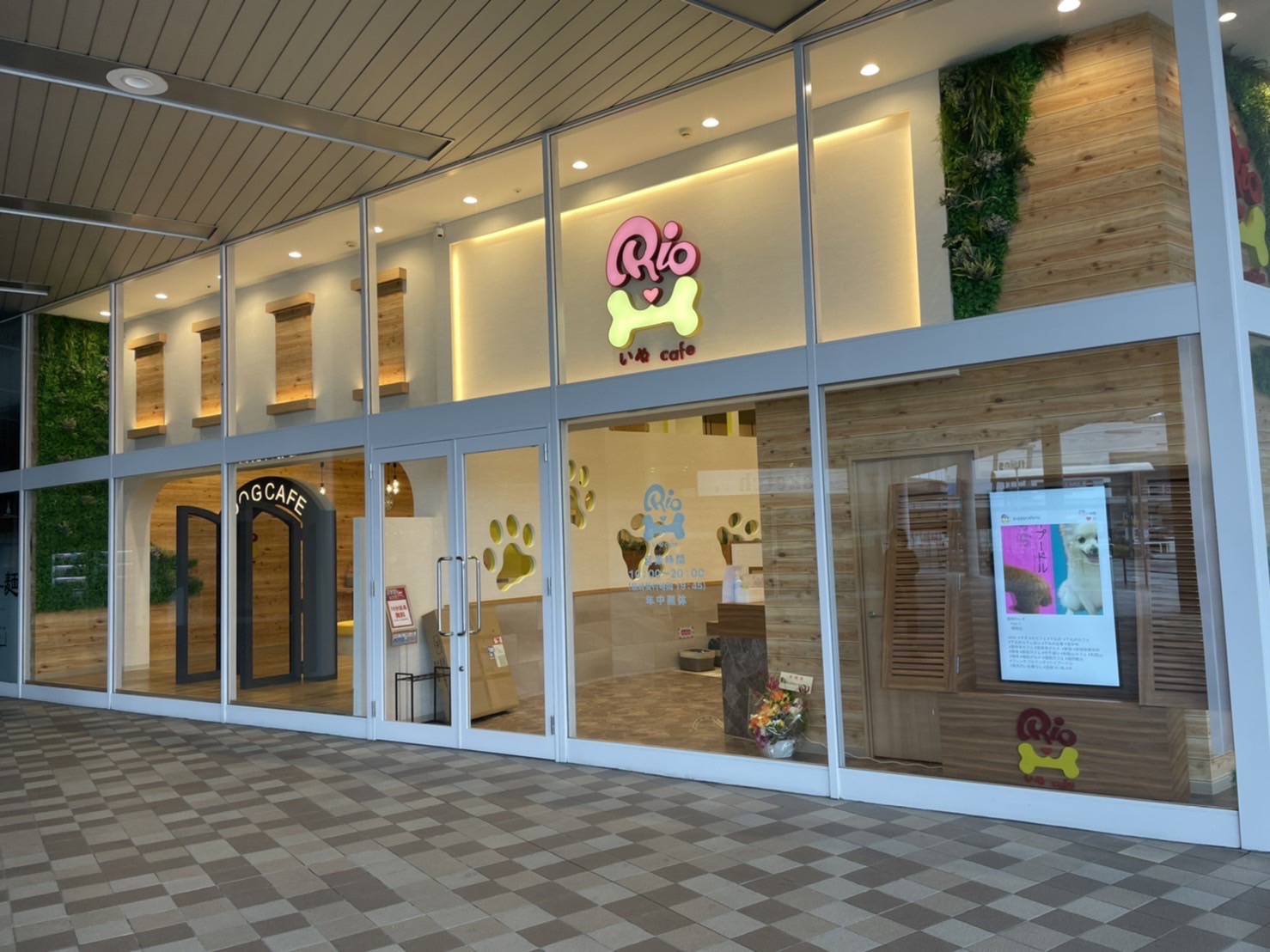 【2026最新】福岡の人気犬カフェ徹底比較！同伴＆ふれあい名店ガイド