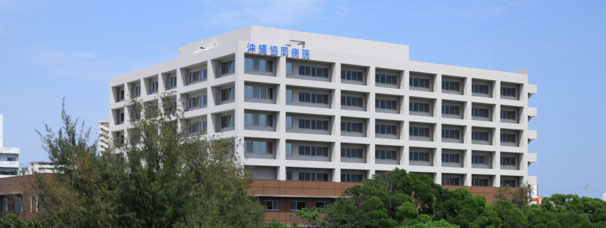 沖縄協同病院の救急＆外来受診の極意！急な不調に備える完全指針