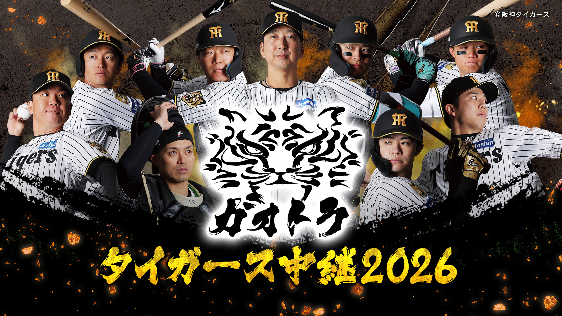 【2026最新】阪神野球に何が起きた？藤川体制の選手起用と勝敗の真相