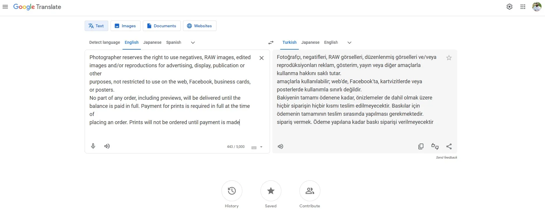 Google English to Turkish Translation