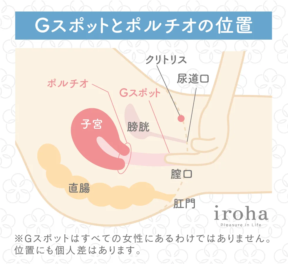 Gスポットとは何か？医学的真相と正しい位置・感覚の最新科学
