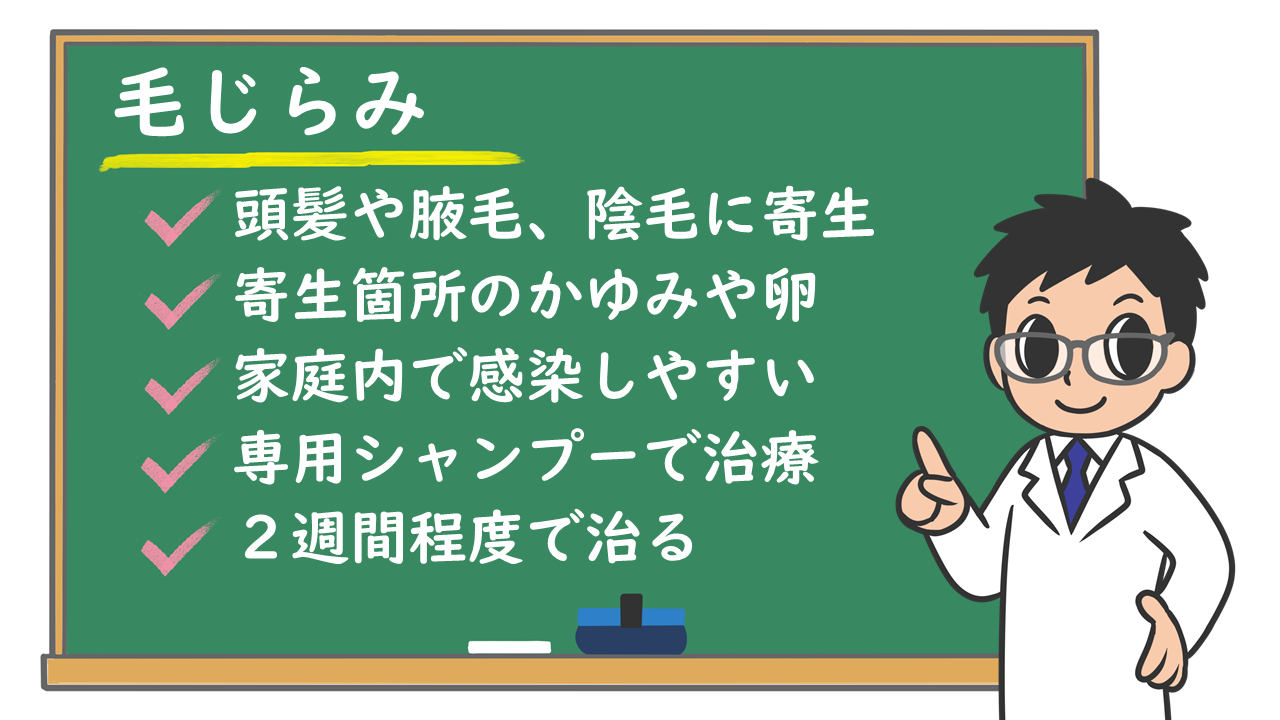 毛じらみとは？性行為以外の感染経路やかゆみの原因・治療法を徹底解説