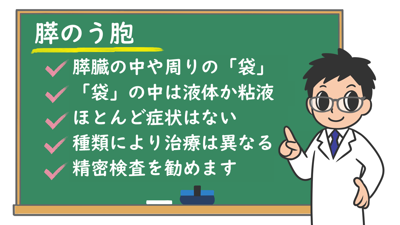 膵嚢胞が見つかっても「心配ない」と言われる理由と、本当に放置していいのかを見極める2026年最新基準
