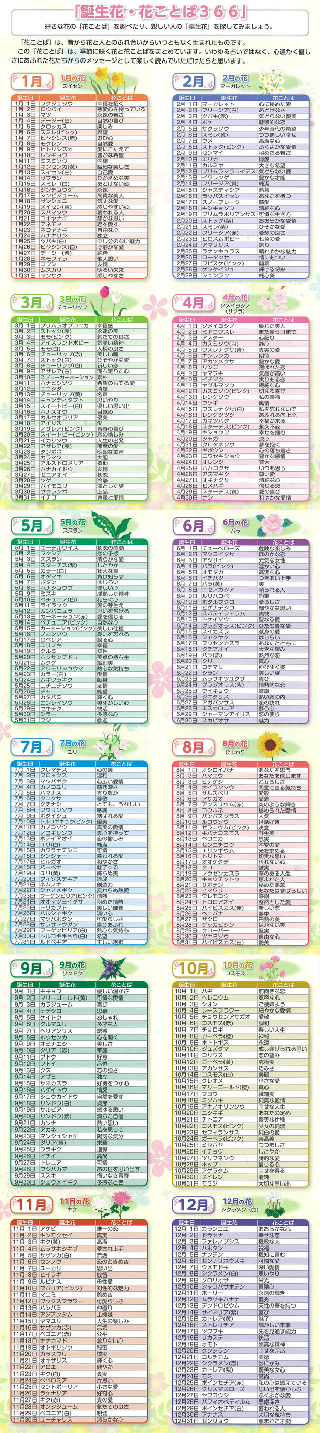 今日の誕生日の花言葉と裏の意味｜365日誕生花・怖い由来とギフト術