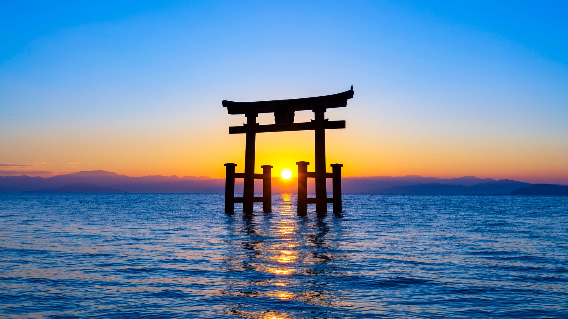 滋賀バームクーヘン新時代｜なぜ琵琶湖のほとりに「洋菓子の聖地」が生まれたのか？地元素材と職人が紡ぐ2026年最新スイーツ前線