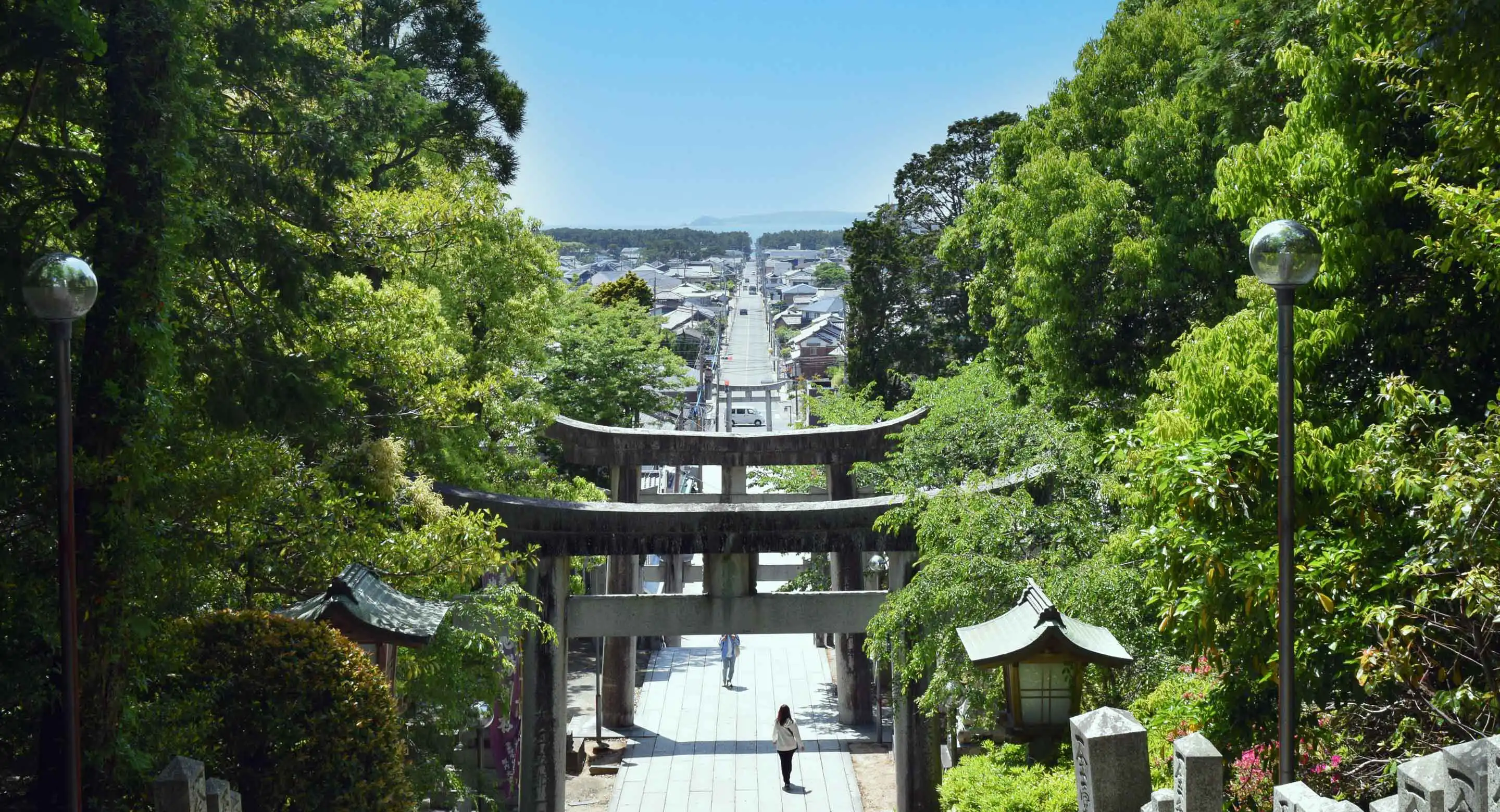 宮地嶽神社「光の道」の真相と日本一の注連縄！2026年参拝完全攻略
