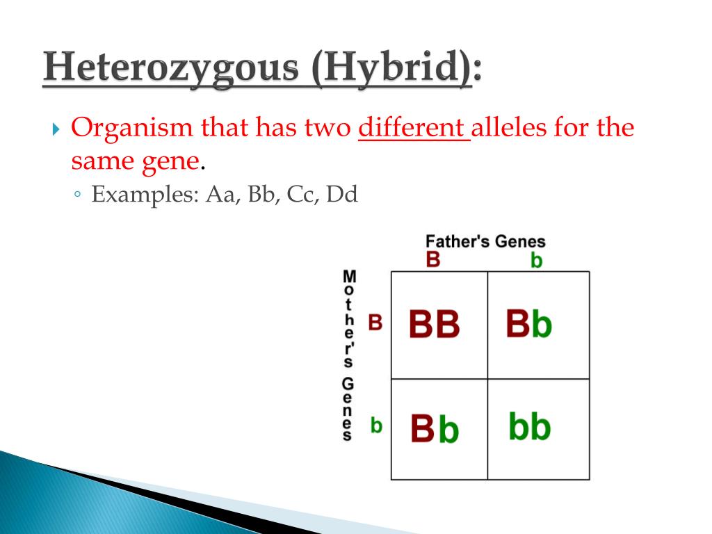 Hybrid Definition in Genetics
