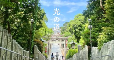 【最新】 宮地 嶽 神社 光 の 道 2026年最新芸能速報 #711