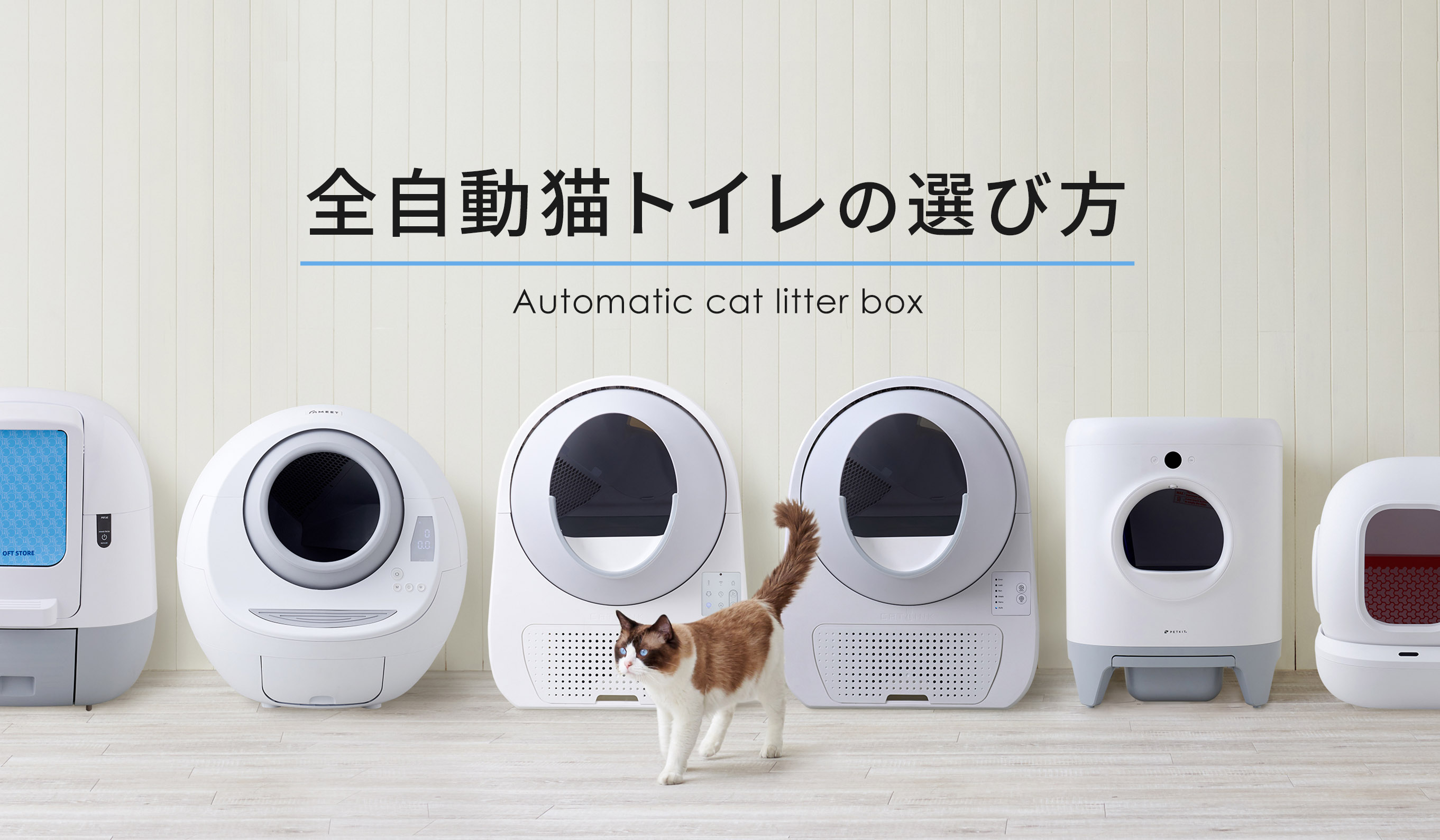猫の自動トイレは安全か？事故の真相と後悔しない選び方を徹底検証
