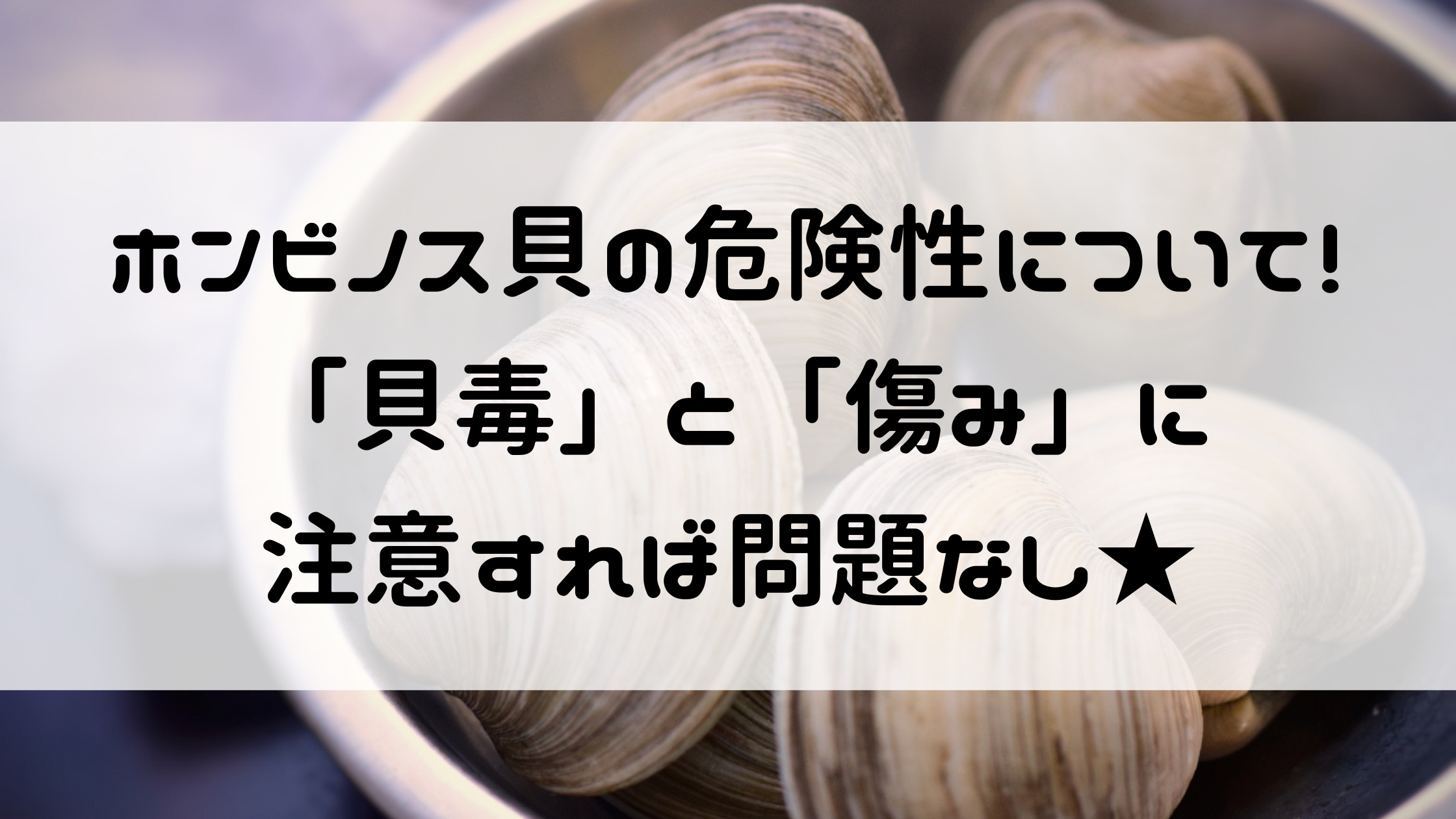 ホンビノス貝は本当に危険？貝毒の噂と安全な食べ方を徹底検証