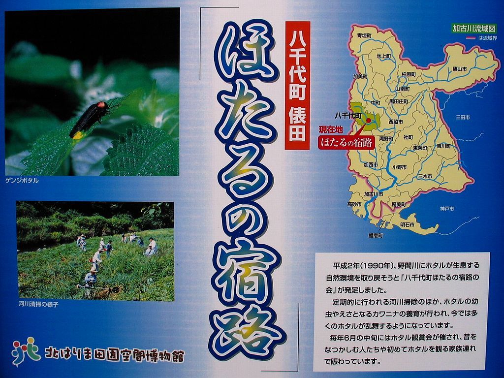 ほたるの宿路の評判と口コミを徹底検証！2026年最新の実態と魅力