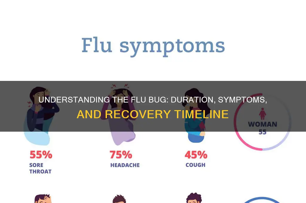 How Long Does the Current Flu Strain Last