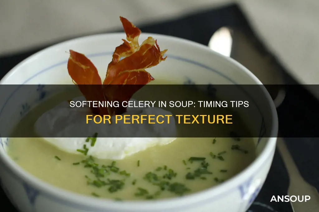 How Long Does Celery Take to Soften in Soup