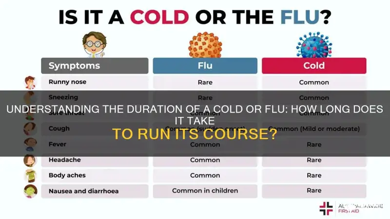 How Long for Flu to Run Its Course