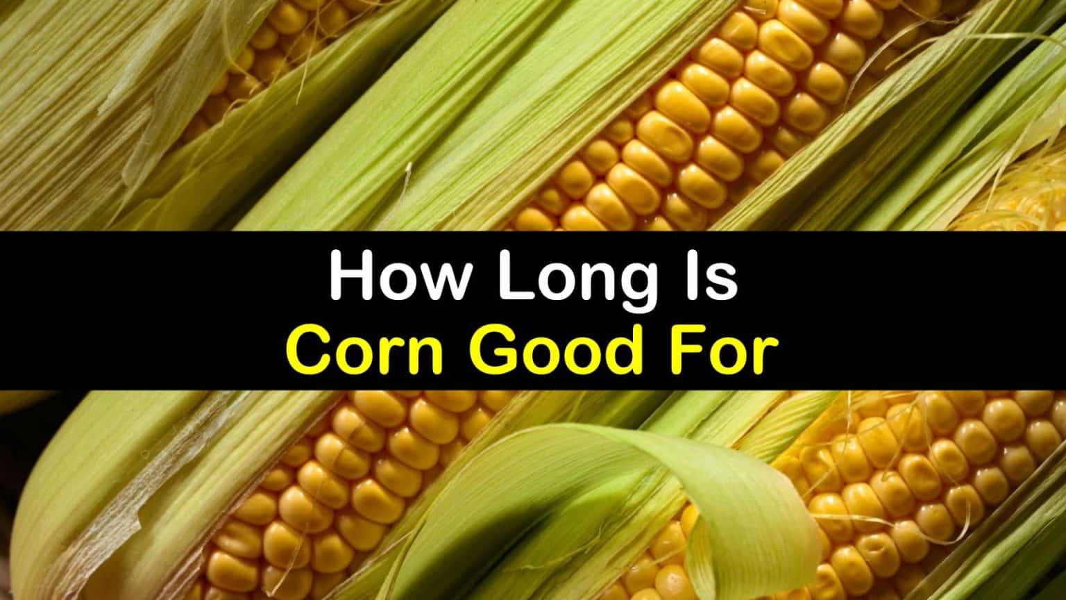 How Long Is Fresh Corn Good For