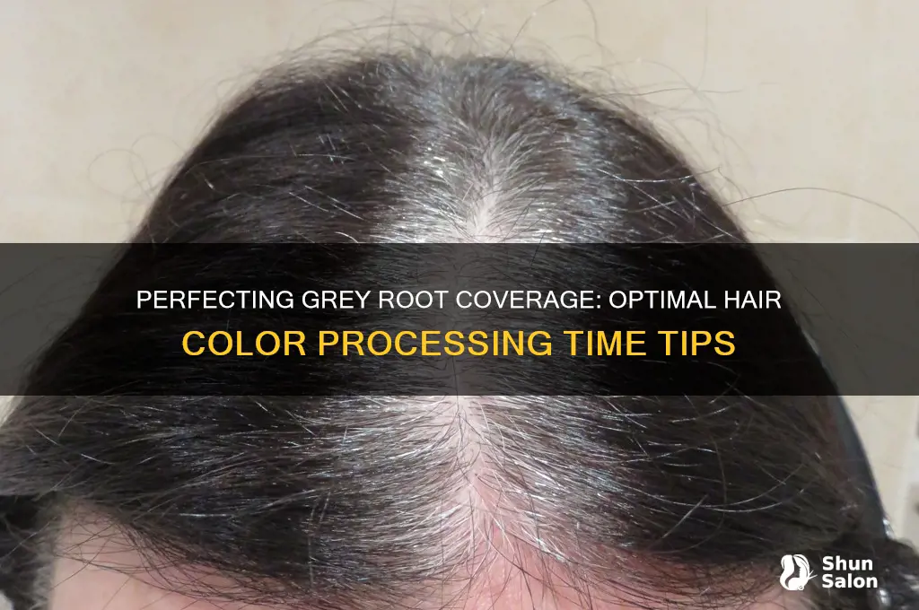 How Long to Leave Hair Color on Roots