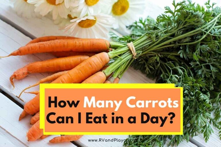 How Many Carrots Can You Eat in a Day