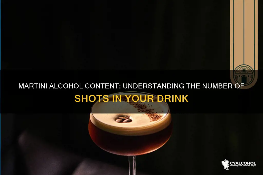 How Many Shots in Martini