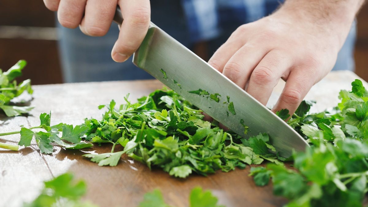 How to Cut Back Cilantro