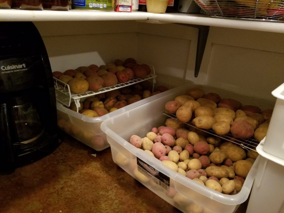 Should Potatoes Be Stored in the Fridge