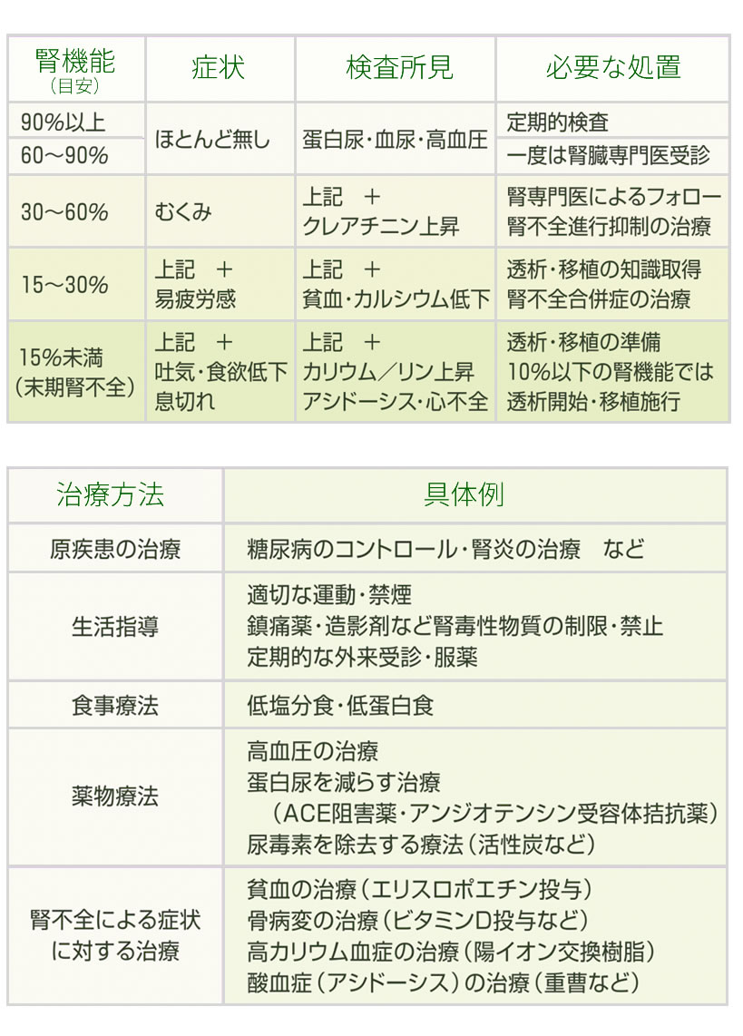 腎不全の末期症状と余命の現実｜危険サインから2026年最新の緩和ケアまで