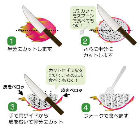 【必見】 ドラゴン フルーツ の 食べ 方 経歴＆学歴まとめ 2026 #950